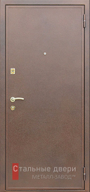 Входные двери с порошковым напылением в Пушкино «Двери с порошком»
